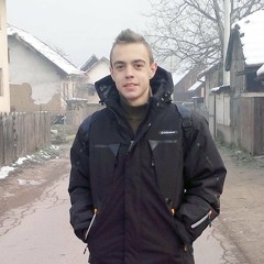 Alen Alitovic