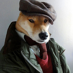 Felipe De Souza Araújo