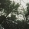 Street_spirit