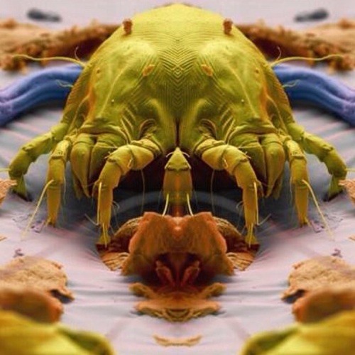My Drugs Man