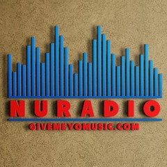 NuRadio Station