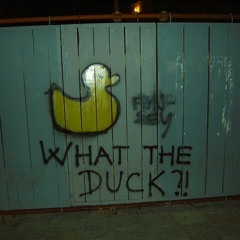 Ducks Quack