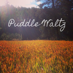 Puddle Waltz