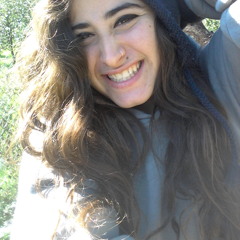 roni haber