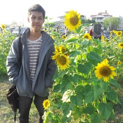 steven_lie