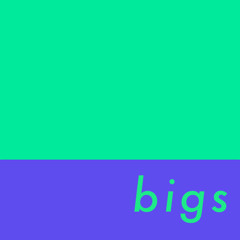 b_igs