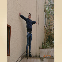 rocco cali