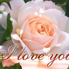 Live Love Laugh Mcgee