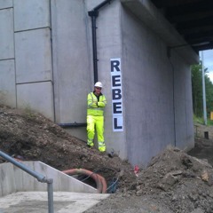 bushy of the morley town