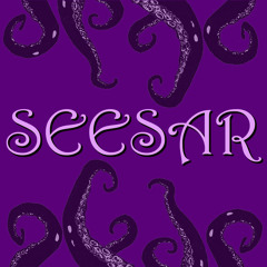 Seesar