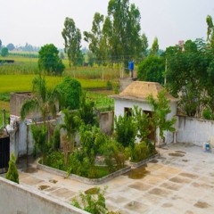 punjabi.gabru
