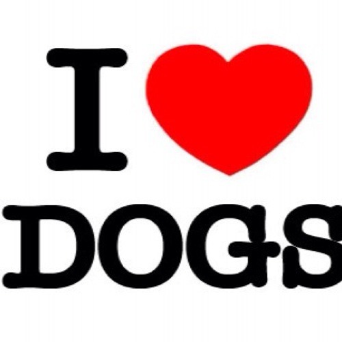 собака друг. люблю собак. я люблю свою собаку. я очень люблю собак на английском. надпись собака.