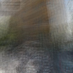 acaccina