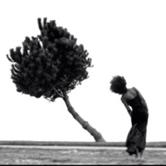 charlotte trienenjost