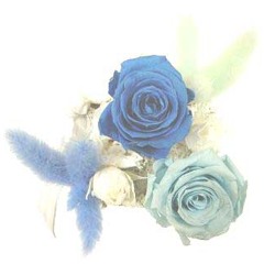 Stream Fumi Tabuchi Music Listen To Songs Albums Playlists For Free On Soundcloud