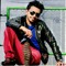 Saleem Javed