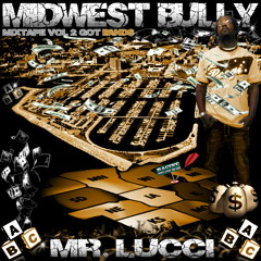 mrlucci262