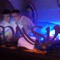 Pantion Dj
