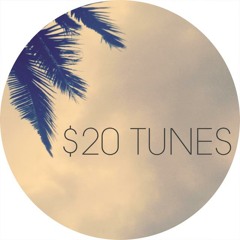 $20 TUNES