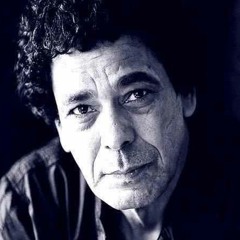 Omar zezo