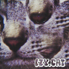 LZY.CAT