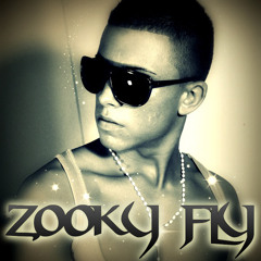 Zooky Fly