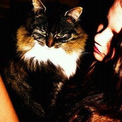 Cecilie Sandblåst Gjerde