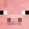 theminerpmc