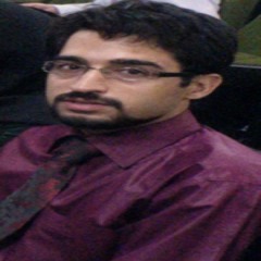 hamid nia
