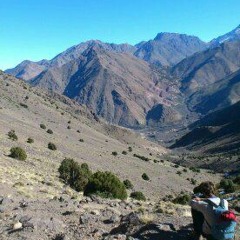 Alexander Schönborn