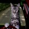 DJ TooNces