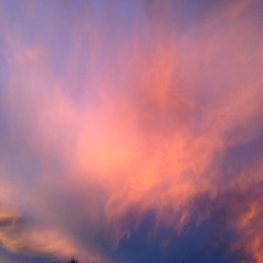 Jasmine Murry Depree