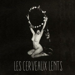 lescerveauxlents