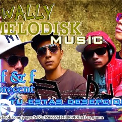 Waly Melodisk Music
