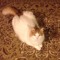 Scott_Hastings6