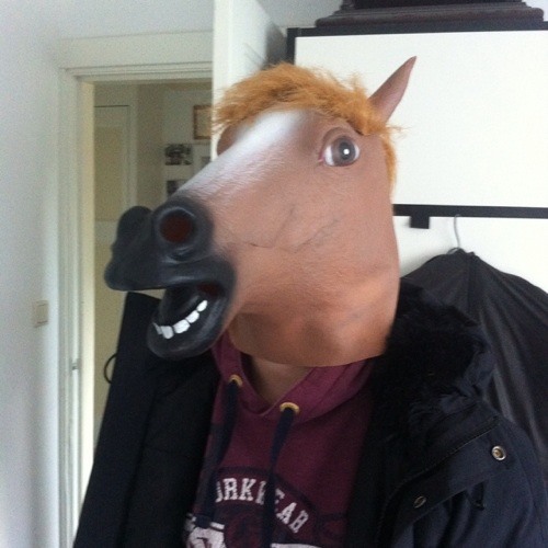 Stream Stijn van de Ridder music | Listen to songs, albums, playlists ...