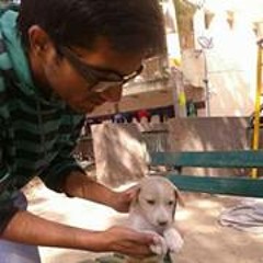 Tushar Dudeja