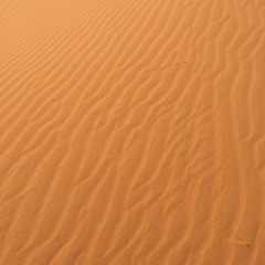 أناشيد