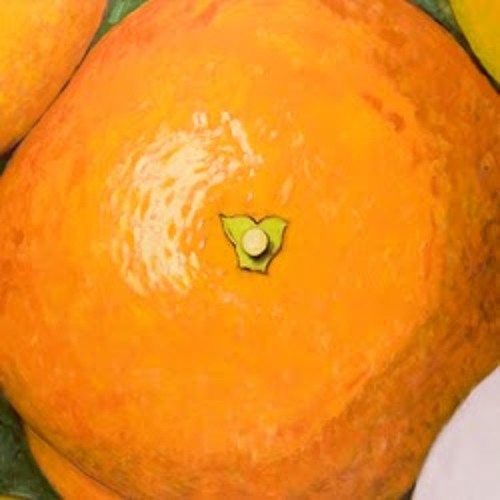 James Orangepop’s avatar