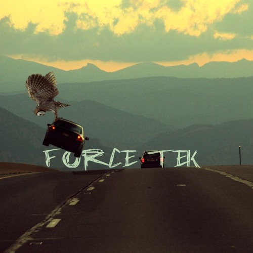 ForceTek’s avatar