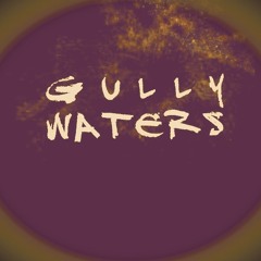 Gully Waters