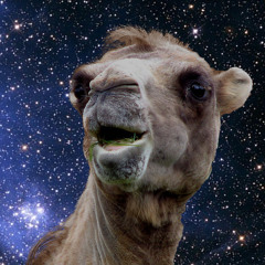 camel_alien