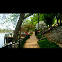 This Week in Augusta