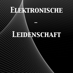 ElektronischeLeidenschaft