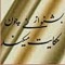 user711200505