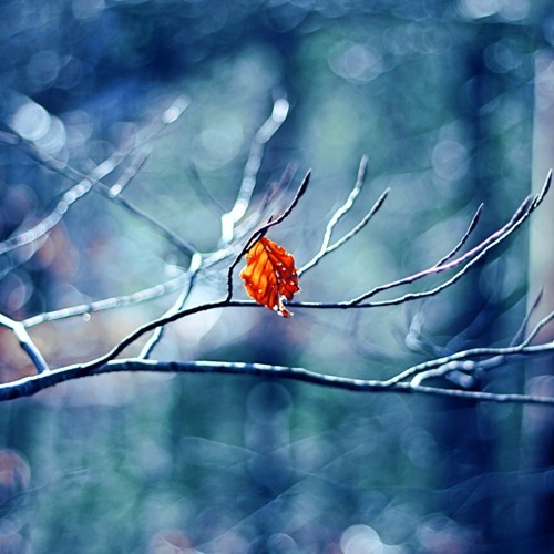 Chợt Nhớ Tên Anh