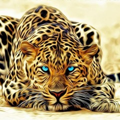 TheBeatIsNeat