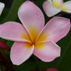 Mary Jo Slatton Mulligan