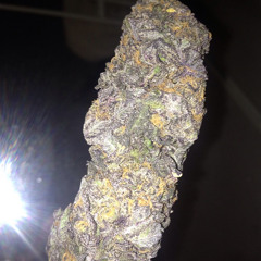 Bud G Zus