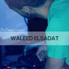 Waleed ElSadat